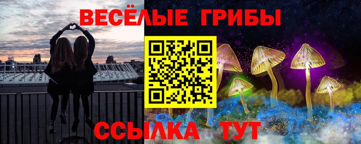 Псилоцибиновые грибы мицелий  Вход с VPN  Электрогорск 
